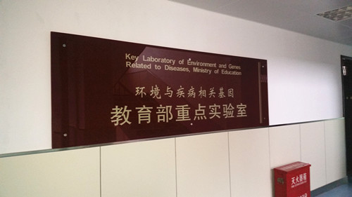 &#20061;&#28216;&#28216;&#25103;&#23448;&#32593;&#45;&#20061;&#28216;&#65288;&#20013;&#22269;&#65289;
